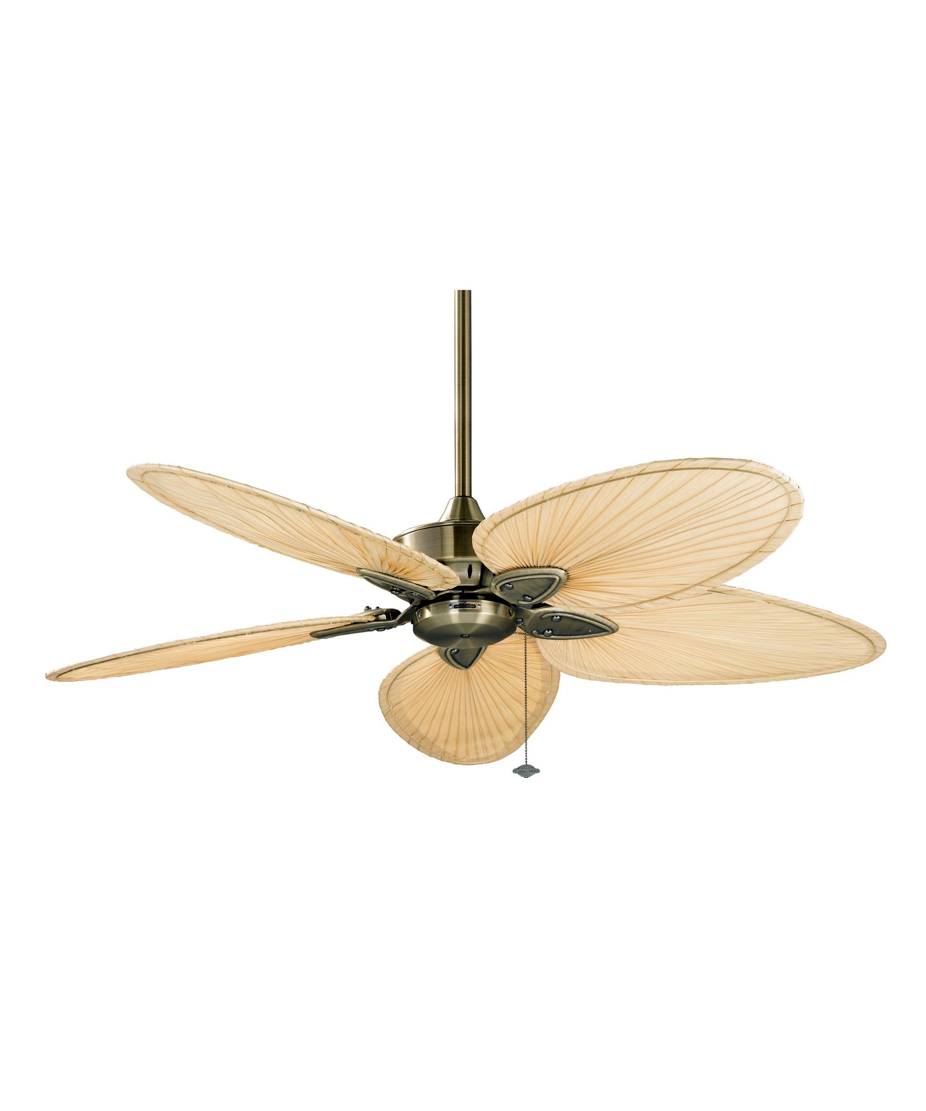 Fanimation Windpointe 52 Inch 5 Blade Ceiling Fan Capitol Shown In Antique Brass Finish With Isp4 Blades